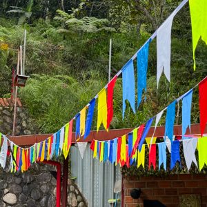 Banderines para fiestas - Imagen 3